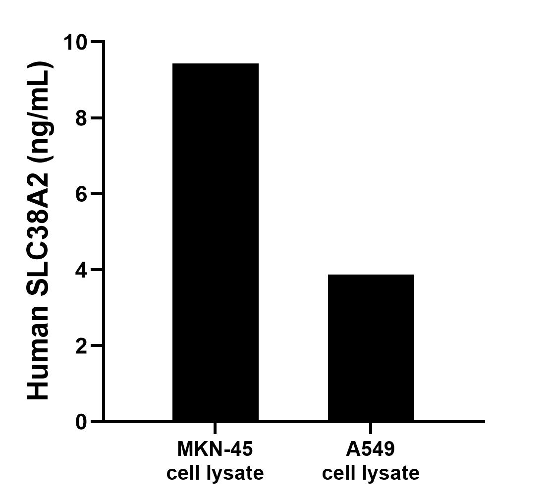 Sample test of MP00889-3